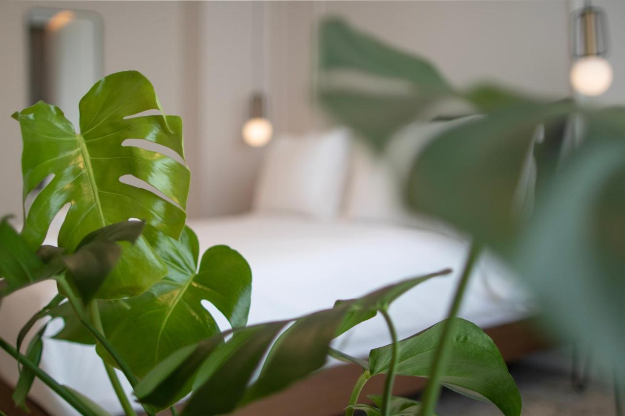 Mythodea Athens Suites エクステリア 写真